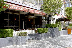 Bistro Vite - Restaurant Guide 0