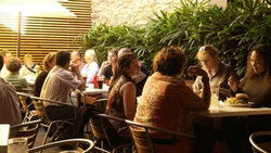 Camperdown NSW Restaurant Guide