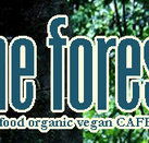 Forest Cafe  Bar - Restaurant Guide