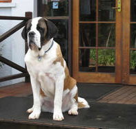 St Bernards Hotel - Restaurant Guide