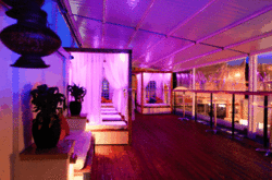 Circus Bar  Night Club - Restaurant Guide