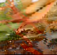 Hallam Hotel - Restaurant Guide