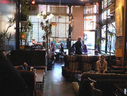 Blackcat - Restaurant Guide 1