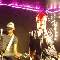 The Brass Monkey - Restaurant Guide 1