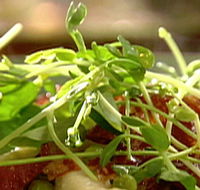 Wild Hearts Cafe Restaurant - Restaurant Guide