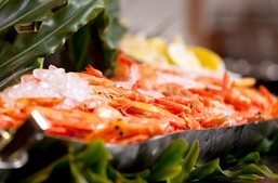 Food Fantasy - Restaurant Guide 0