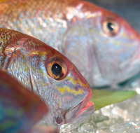 Coro Hotel - Lure Seafood Restaurant - Restaurant Guide