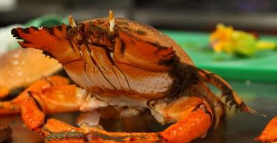 River Cottage Restaurant - Restaurant Guide 0