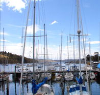 Oyster Cove Inn - Restaurant Guide