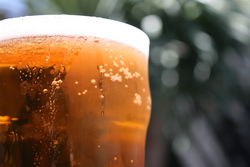 Greenwood Hotel - Restaurant Guide 2