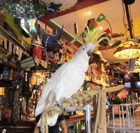 A Friend In Hand - Restaurant Guide