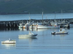 Cape Otway VIC Restaurant Guide