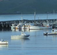 The Apollo Bay Hotel - Restaurant Guide