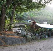 Ellis Beach Bar  Grill - Restaurant Guide