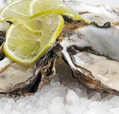 Platform Restaurant and Bar - Restaurant Guide