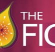 Pickled Fig - Restaurant Guide