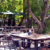 Lizard's Outdoor Bar And Grill - Restaurant Guide 3