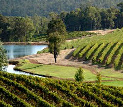 Glen Mervyn WA Restaurant Guide