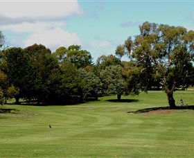 Cooma Golf Club - Restaurant Guide 1