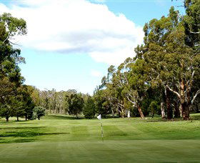 Cooma Golf Club - Restaurant Guide 0