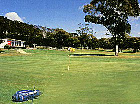 Bicheno Golf Club Incorporated - Restaurant Guide 0