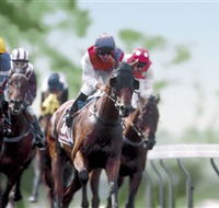 Colac Turf Club - Restaurant Guide