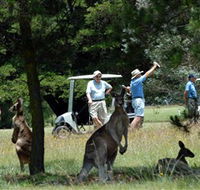 Glen Innes Golf Club - Restaurant Guide