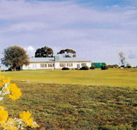 Lucindale Country Club - Restaurant Guide