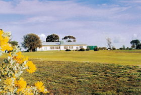 Lucindale Country Club - Restaurant Guide 0