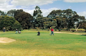 Lucindale Country Club - Restaurant Guide 1