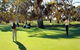 Tanunda Pines Golf Club - thumb 1