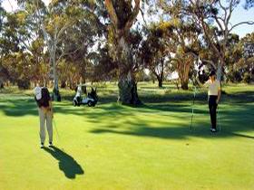 Tanunda Pines Golf Club - Restaurant Guide 1
