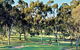 Tanunda Pines Golf Club - thumb 2