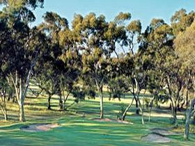 Tanunda Pines Golf Club - Restaurant Guide 2