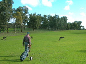 Coffin Bay Golf Club - Restaurant Guide 0