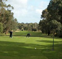 Mount Gambier Golf Club - Restaurant Guide