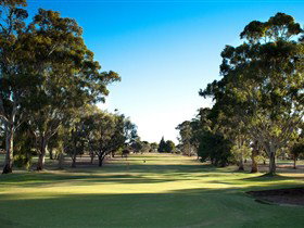 Loxton Golf Club - Restaurant Guide 0
