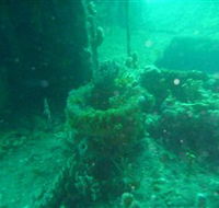 Wallaroo Scuba Club - Restaurant Guide
