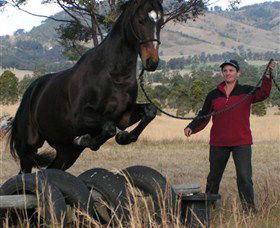 Kings Creek Saddle Club - Restaurant Guide 5