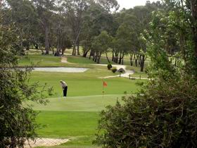 Mount Barker Junction SA Restaurant Guide