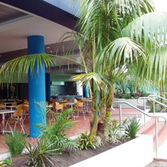 Forster NSW Restaurant Guide