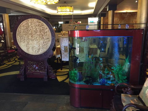 Euro House - Restaurant Guide 5