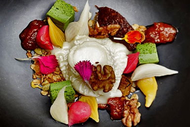 Botanical Hotel - Restaurant Guide 0
