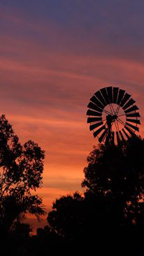 Emerald Springs Roadhouse - Restaurant Guide 5