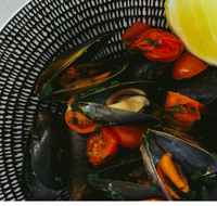 The Italian Diner - Restaurant Guide