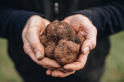 A Taste Of Truffles - Restaurant Guide 0