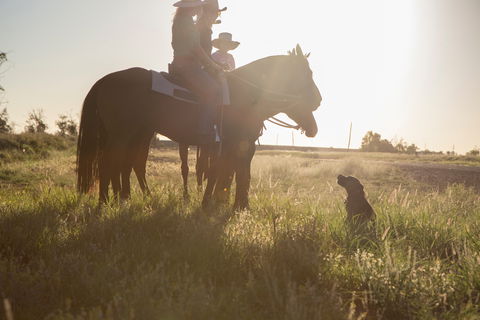 Balonne Cutting Horse Futurity - Restaurant Guide 0