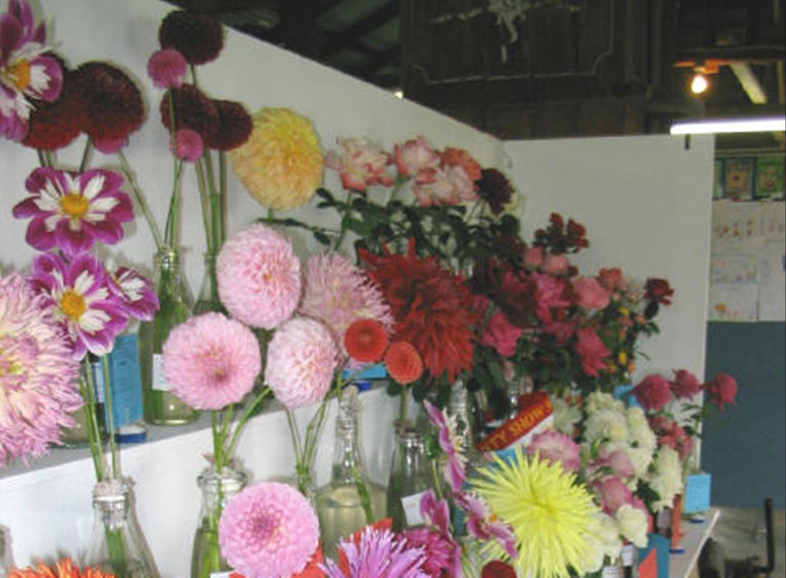 Snowy Plain NSW Restaurant Guide