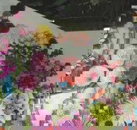 Dalgety Show - Restaurant Guide