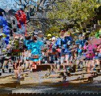 Duval Dam Buster Trail Run - Restaurant Guide